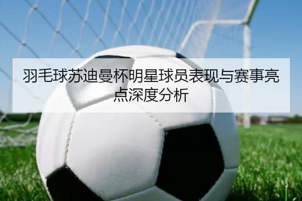 羽毛球苏迪曼杯明星球员表现与赛事亮点深度分析